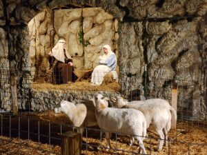 Kingdom church in Westover offers The Light of the World, an immersive living nativity journey